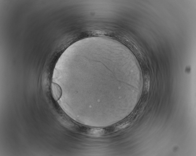 X0000116450410201001191557