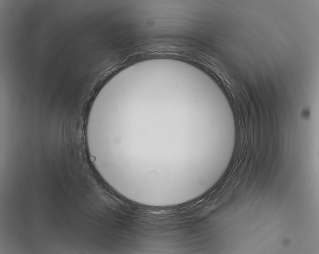 X0000116450411201001191557