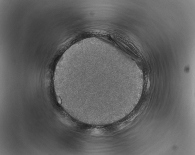 X0000116450412201001191557