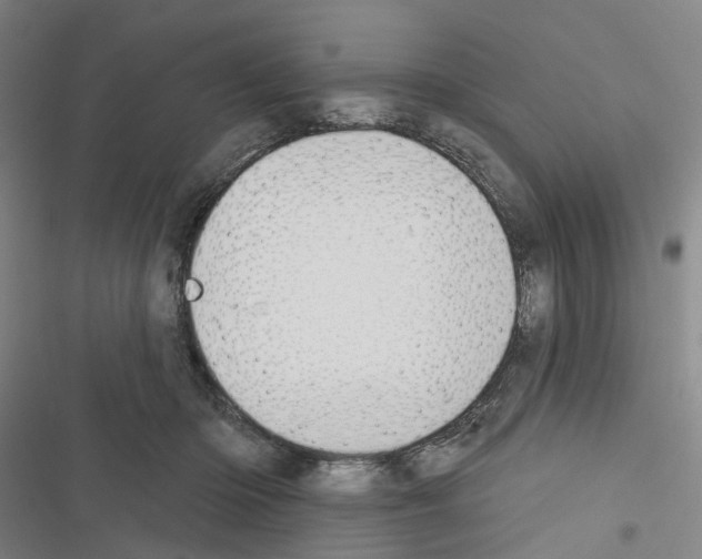 X0000116450414201001191557