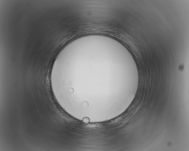 X0000116450415201001191557