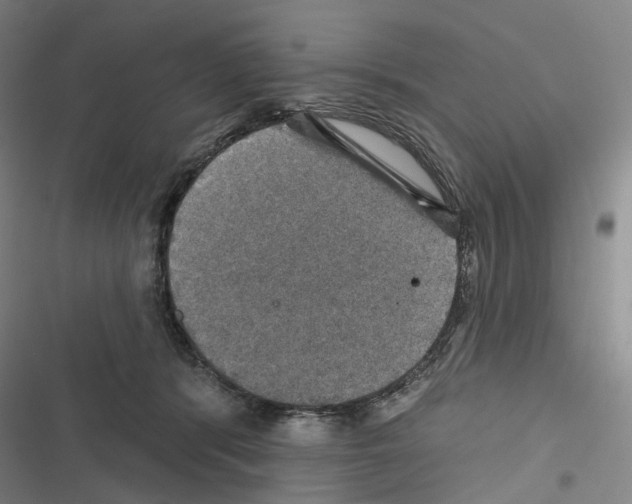 X0000116450416201001191557