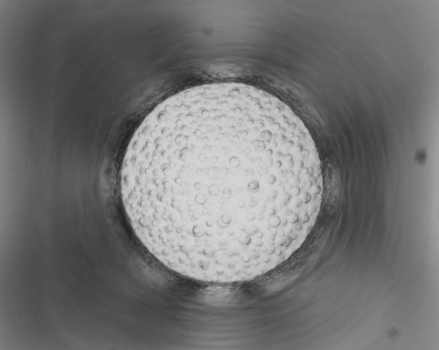 X0000116450418201001191557