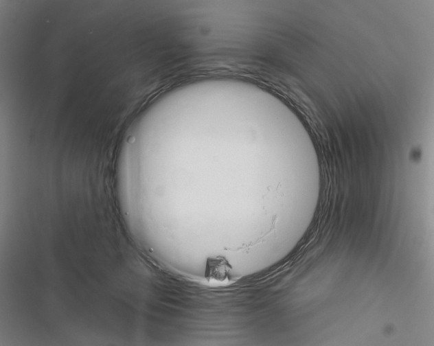 X0000116450419201001191557