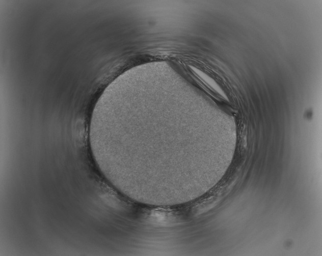 X0000116450420201001191557