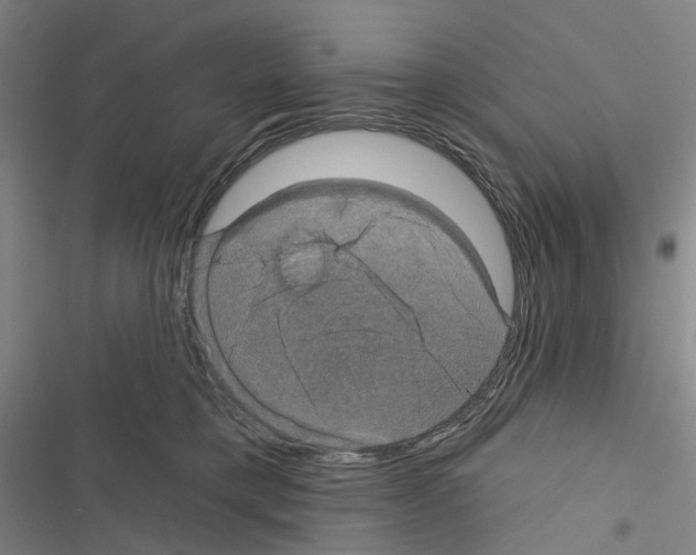 X0000116450421201001191557