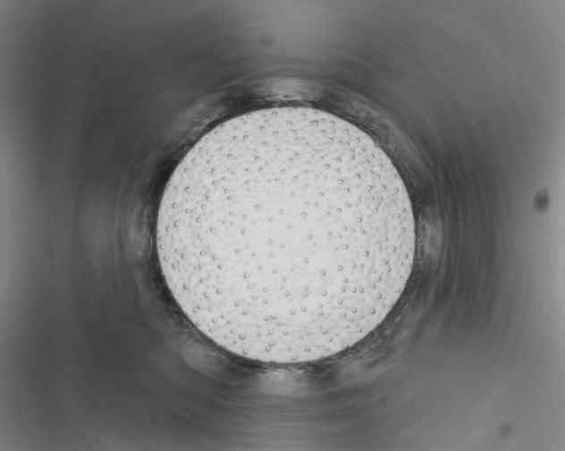 X0000116450422201001191557