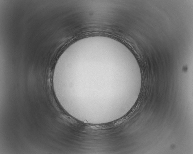 X0000116450423201001191557