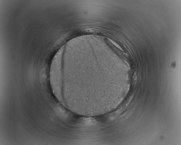 X0000116450424201001191557
