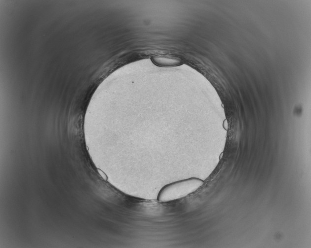 X0000116450425201001191557