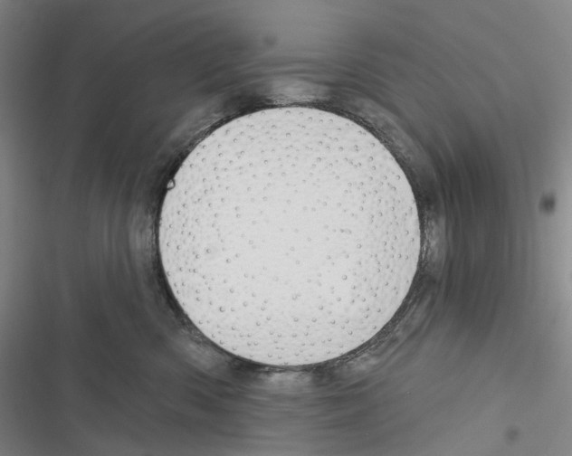 X0000116450426201001191557