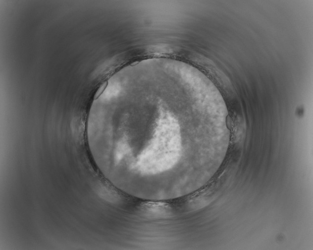 X0000116450427201001191557
