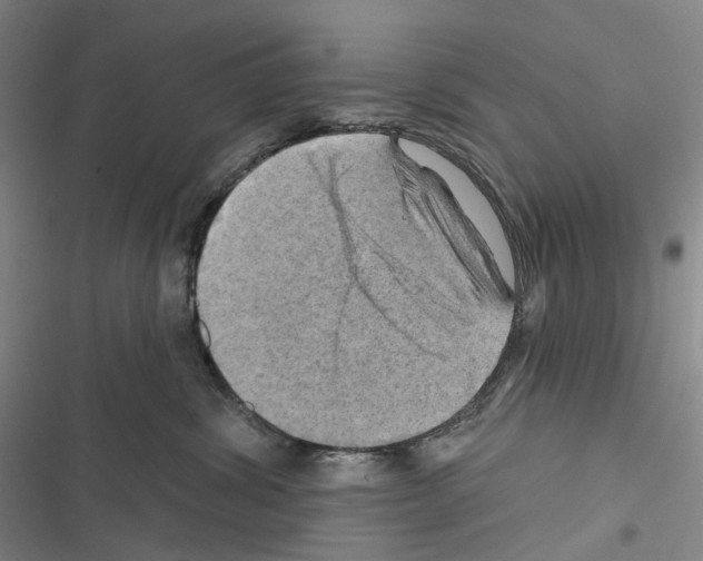X0000116450428201001191556