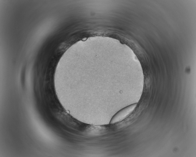 X0000116450429201001191556