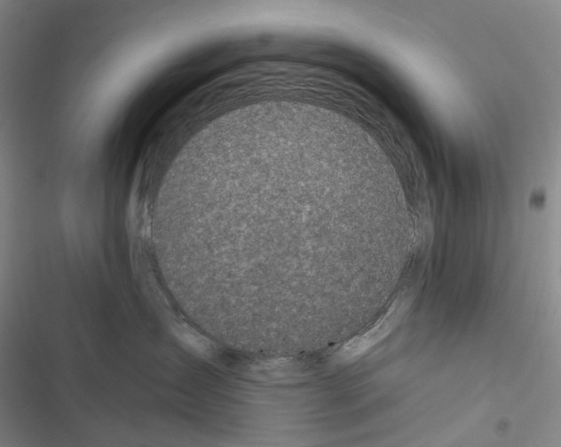 X0000116450431201001191556