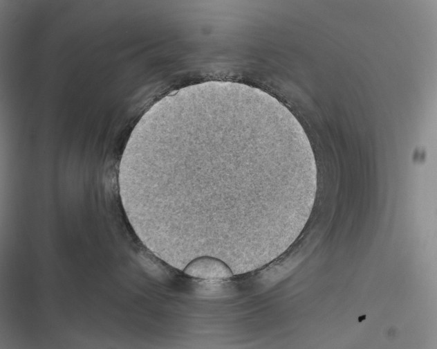 X0000116450432201001191556