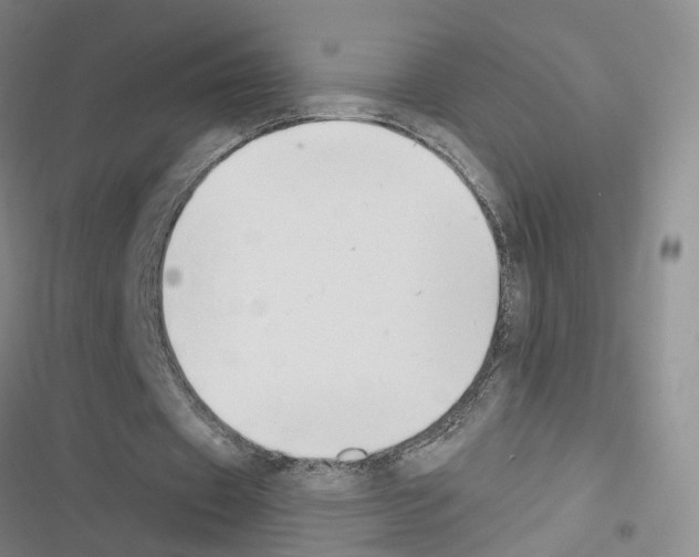 X0000116450433201001191556