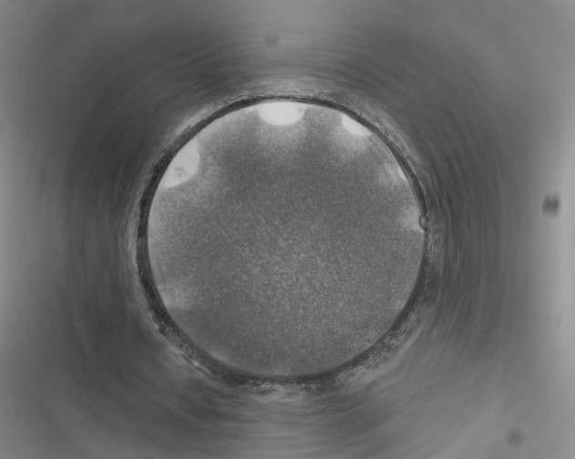 X0000116450434201001191556