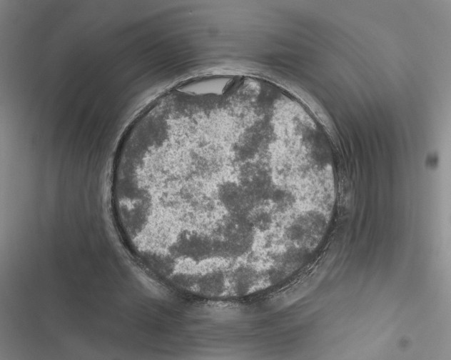 X0000116450437201001191556