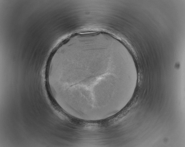 X0000116450438201001191556