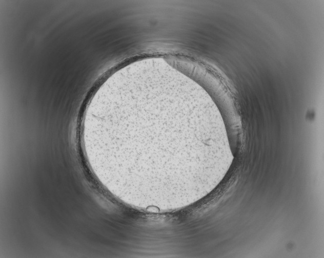 X0000116450439201001191556