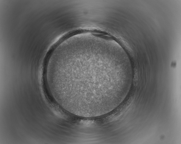 X0000116450440201001191556