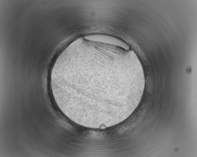 X0000116450442201001191556