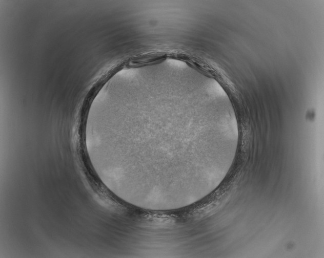 X0000116450443201001191556