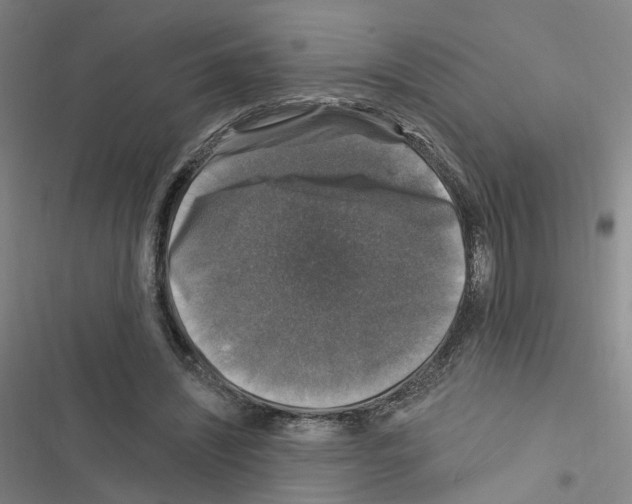 X0000116450444201001191556
