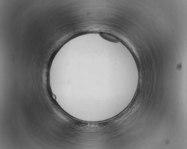 X0000116450445201001191556