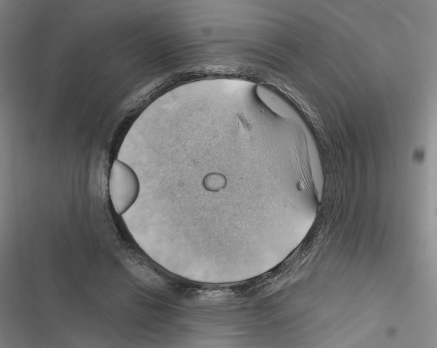X0000116450446201001191556