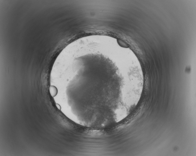 X0000116450449201001191556
