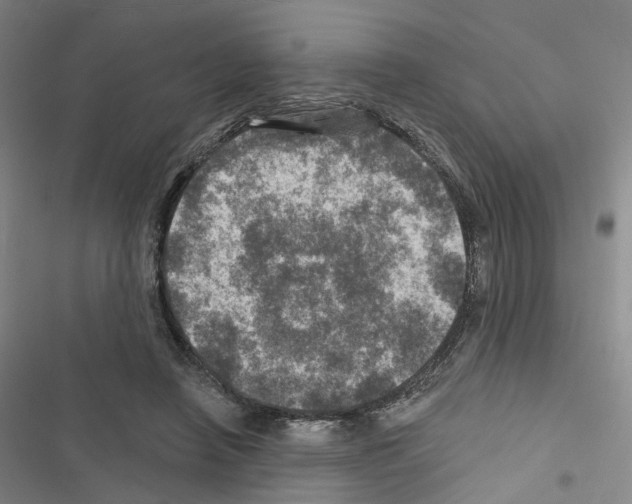 X0000116450450201001191556