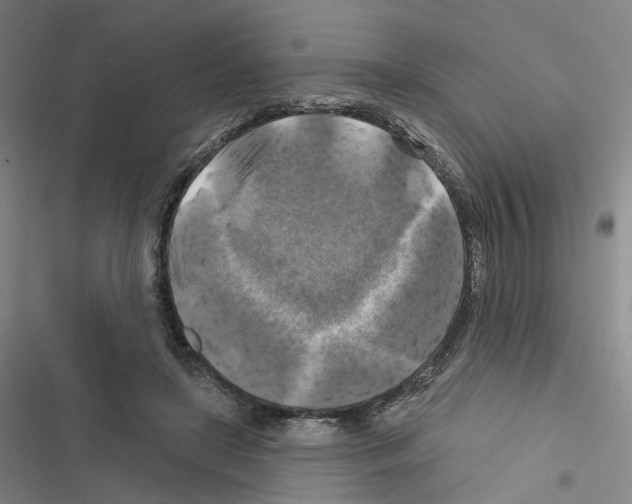 X0000116450451201001191556
