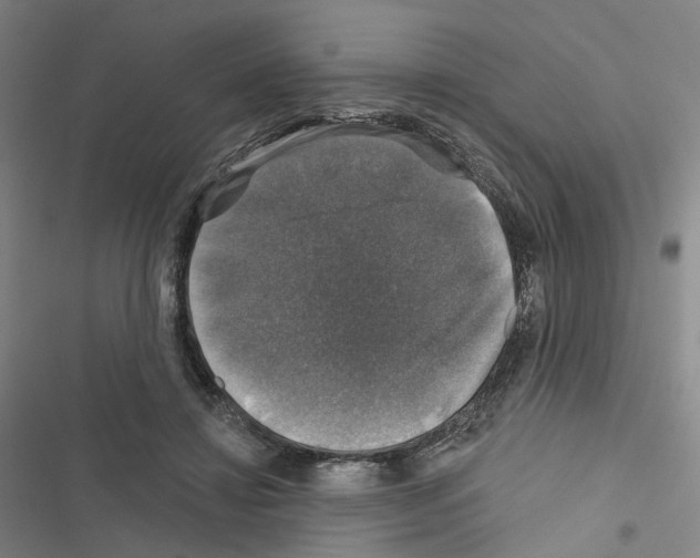 X0000116450452201001191556