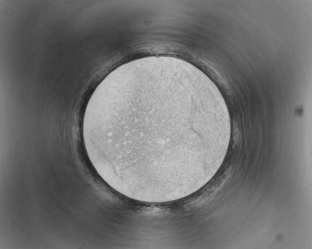 X0000116450453201001191556