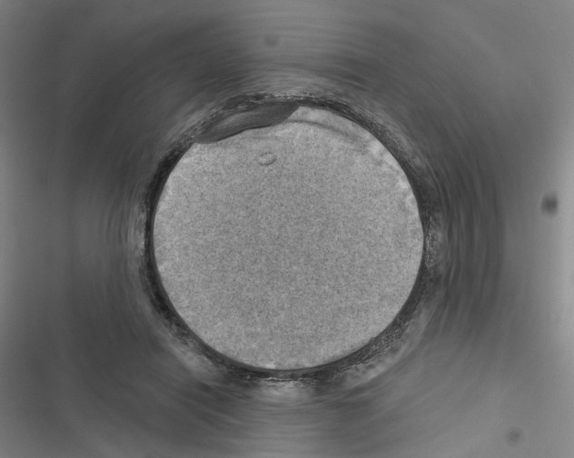 X0000116450454201001191556