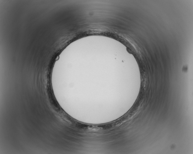 X0000116450455201001191556