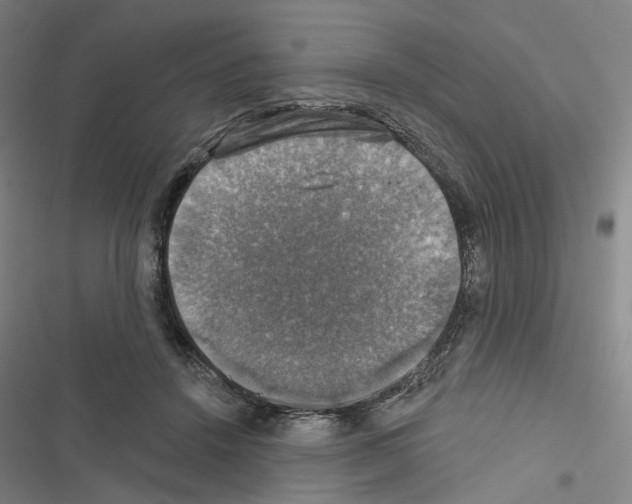 X0000116450456201001191556
