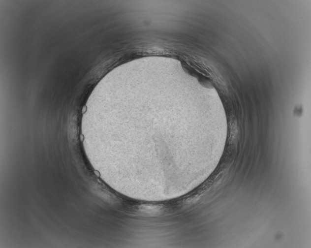 X0000116450457201001191556