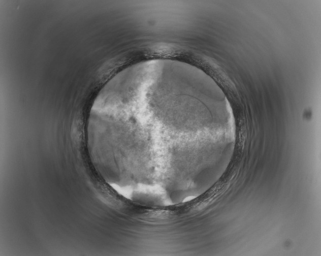 X0000116450459201001191556