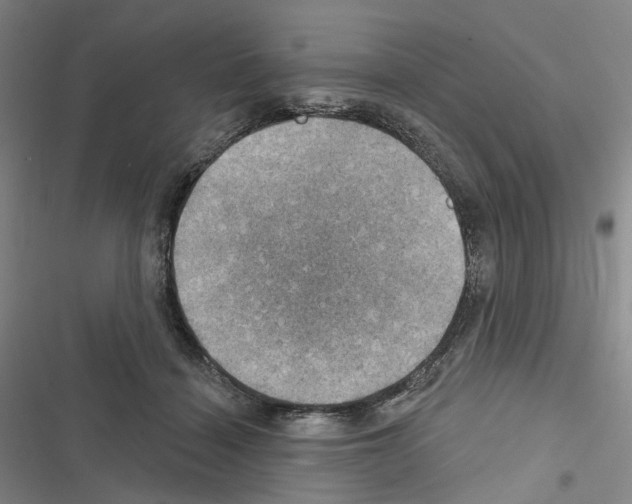 X0000116450460201001191556