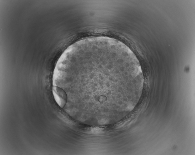X0000116450462201001191556