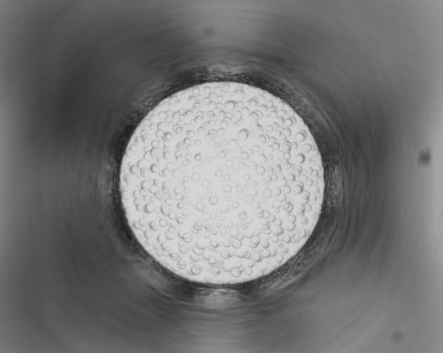 X0000116450463201001191556