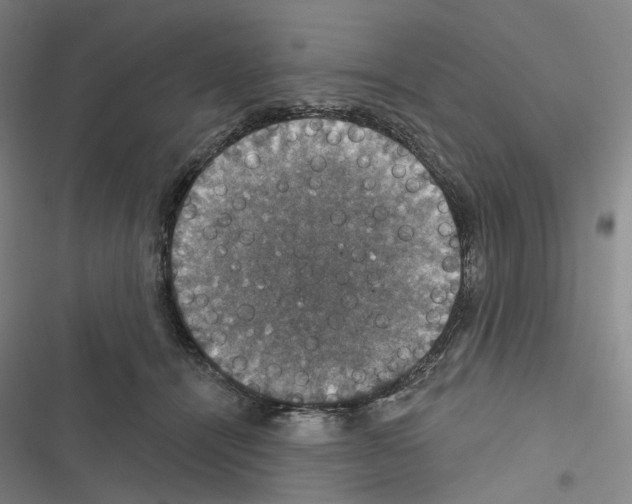 X0000116450464201001191556