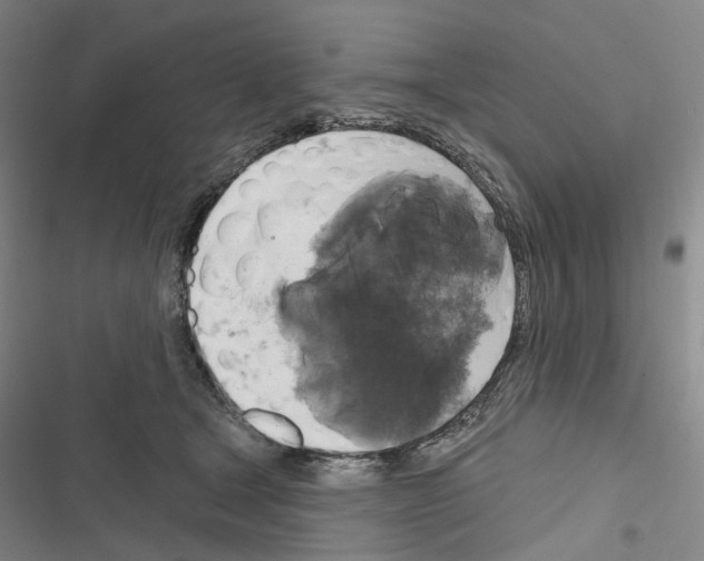 X0000116450465201001191556