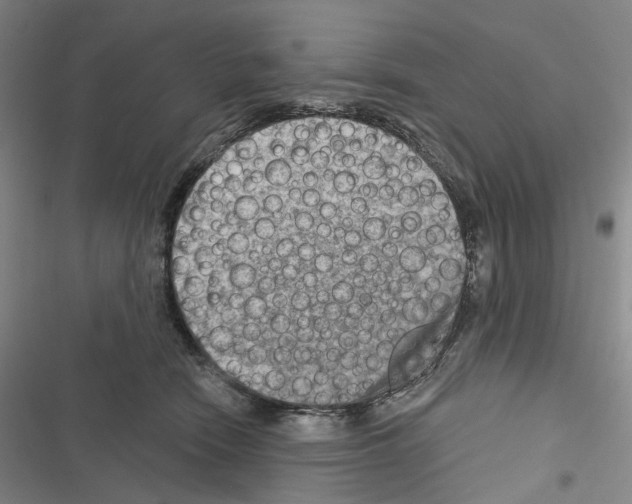 X0000116450466201001191556