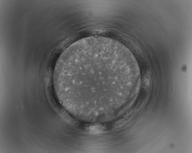 X0000116450468201001191556
