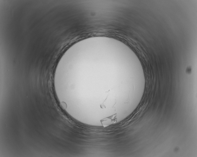 X0000116450470201001191556
