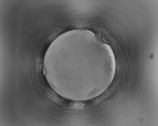 X0000116450471201001191556